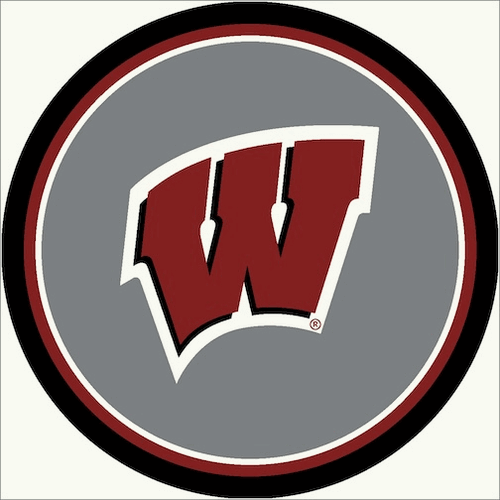 Wisconsin 64 Round Spirit Rug