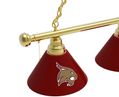 Texas State Billiard Light