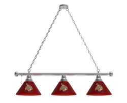 Texas State Billiard Light