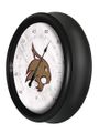 Texas State Outdoor Thermometer