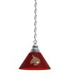 Texas State Pendant Light