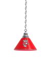 Wisconsin Badgers Pendant Light