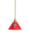 Wisconsin Badgers Pendant Light