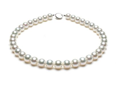 10mm x 11.7mm White South Pearl Necklace