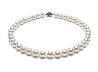 10mm x 11.8mm White South Rose Pearl Necklace