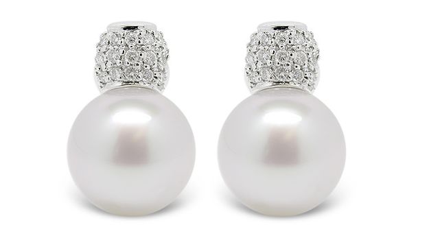 Bina a South Sea Cultured Pearl Earring