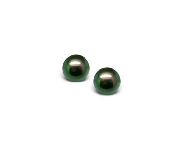 Black Pearl Earring Japanese Akoya Cultured
