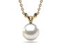 Japanese Akoya Single V 6mm Pearl Pendant
