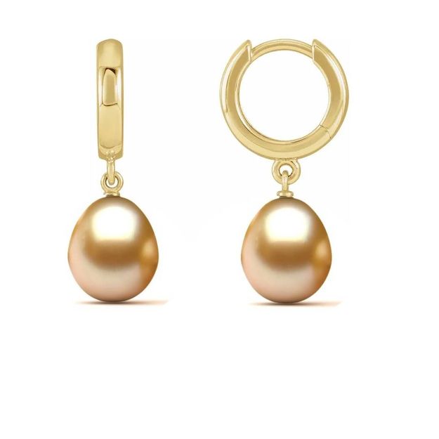 Plain 14K Yellow Gold 11.4mm Hoop Earrings with 10mm Golden South Sea Drop Pearls