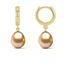Plain 14K Yellow Gold 11.4mm Hoop Earrings with 10mm Golden South Sea Drop Pearls
