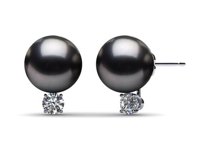 Tahitian Pearl Stud Earrings • Regent Pearls, Broome WA Tahitian Pearl Stud Earrings • Regent Pearls, Broome WA