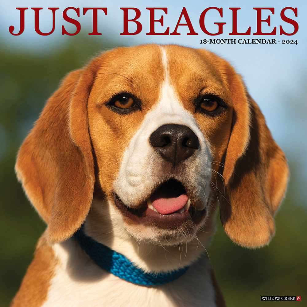 Beagles Calendar 2024 Willow Creek Press|Animal Den