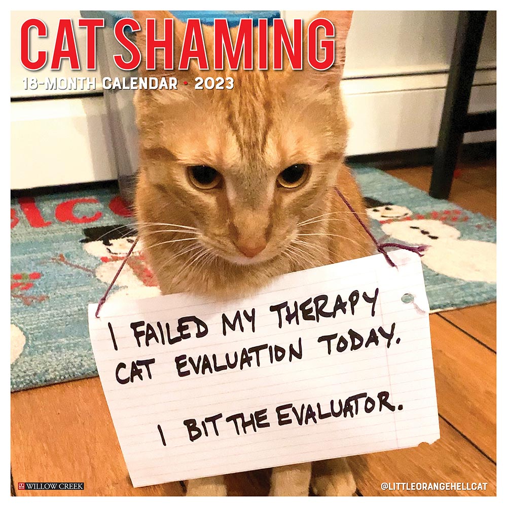 Cat Shaming Calendar 2023 | Animalden.com