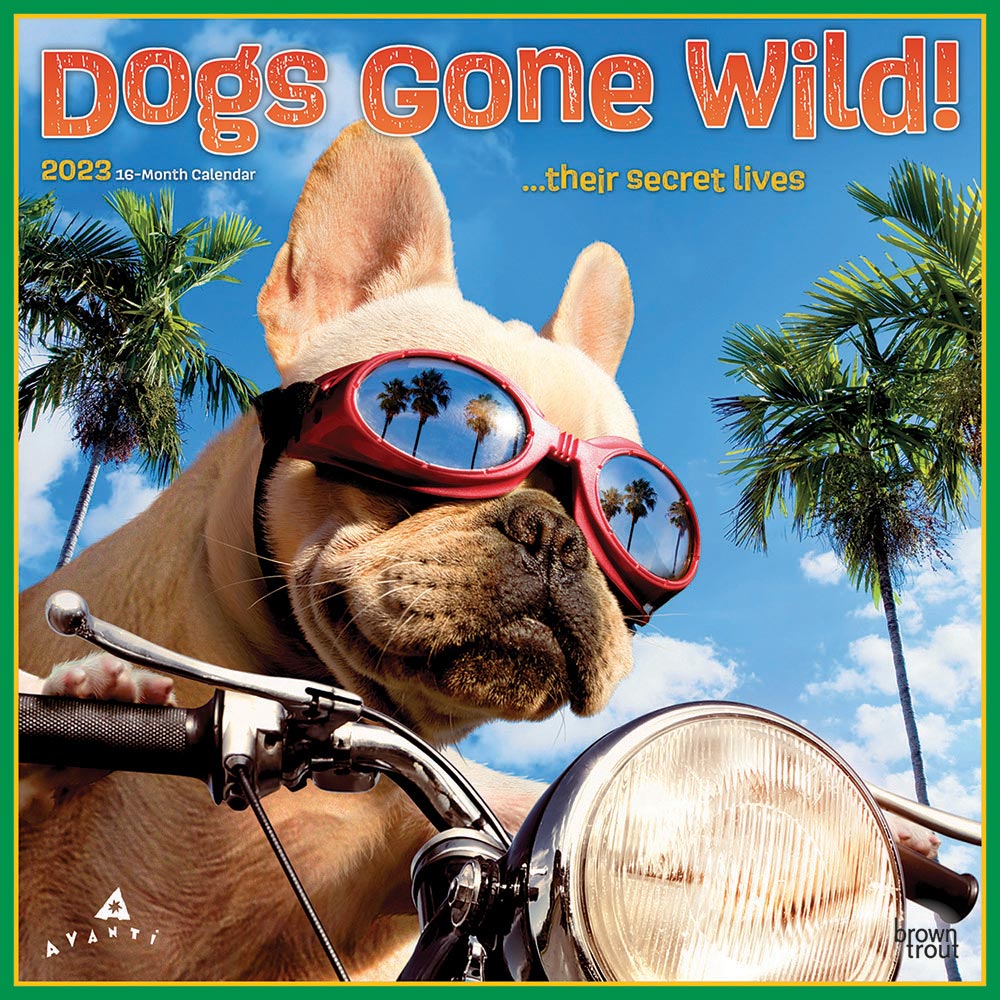 2023 Dog Days Calendar