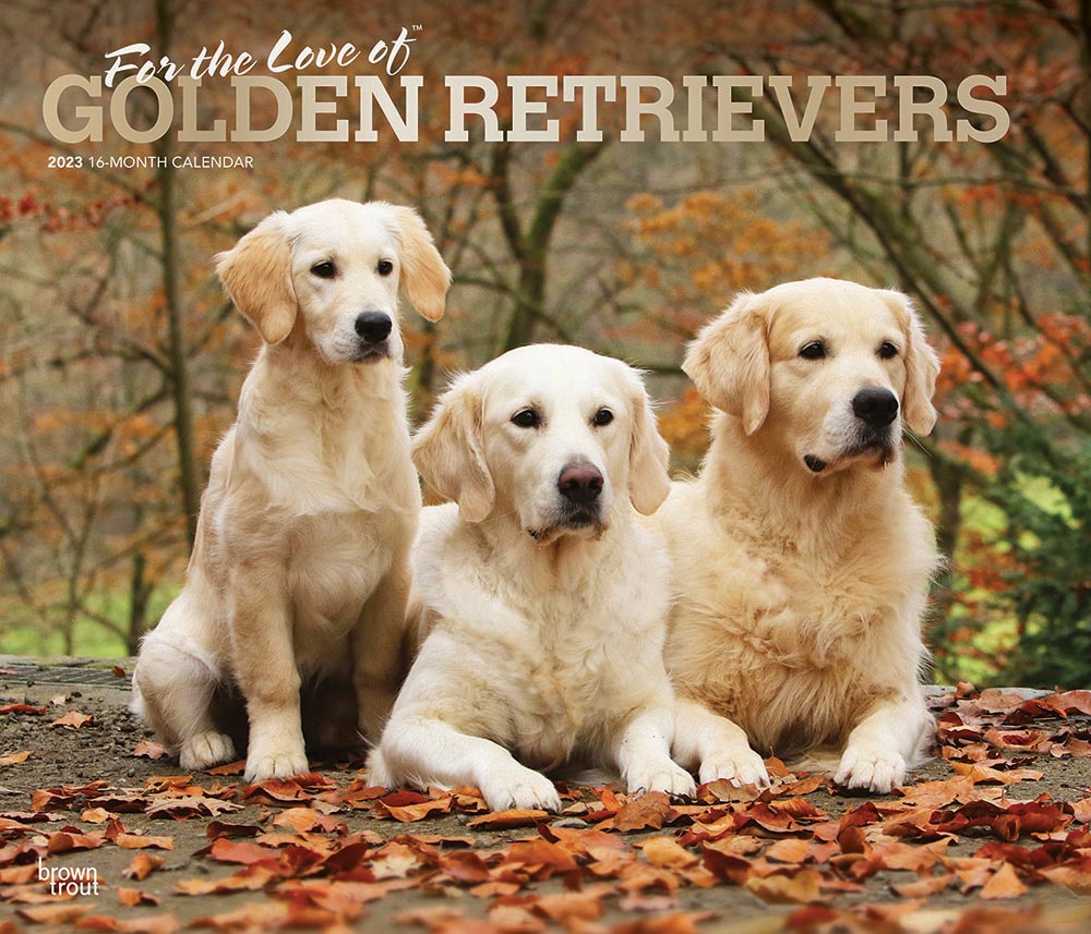 For the Love of Golden Retrievers Deluxe Calendar 2023 | Animal Den