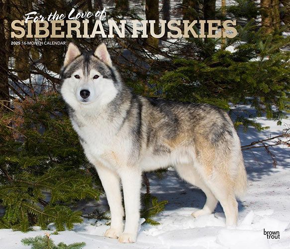 2025 For the Love of Siberian Huskies Deluxe Calendar