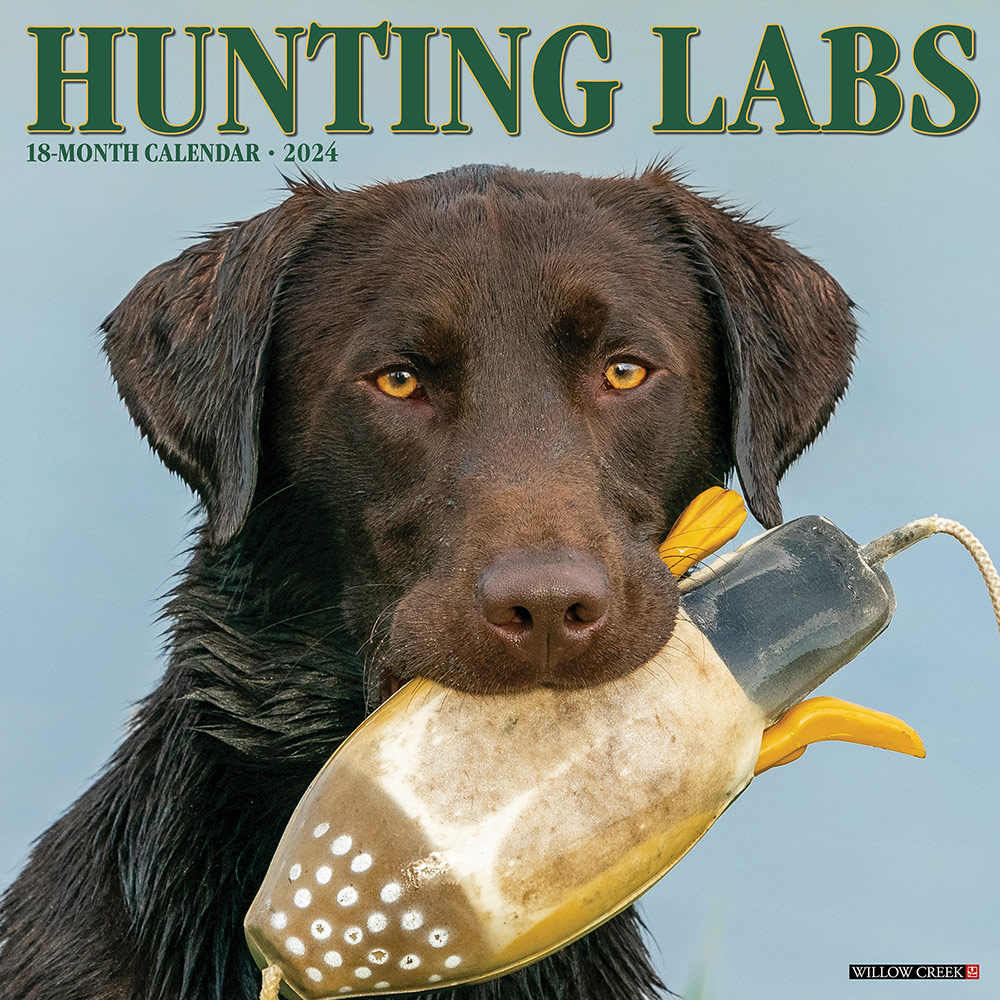 Hunting Labs Calendar 2024 Willow