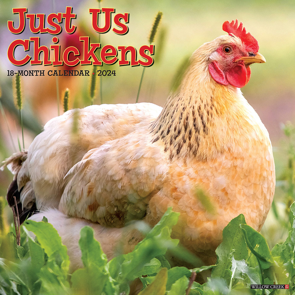 Just Us Chickens Calendar 2024 Willow