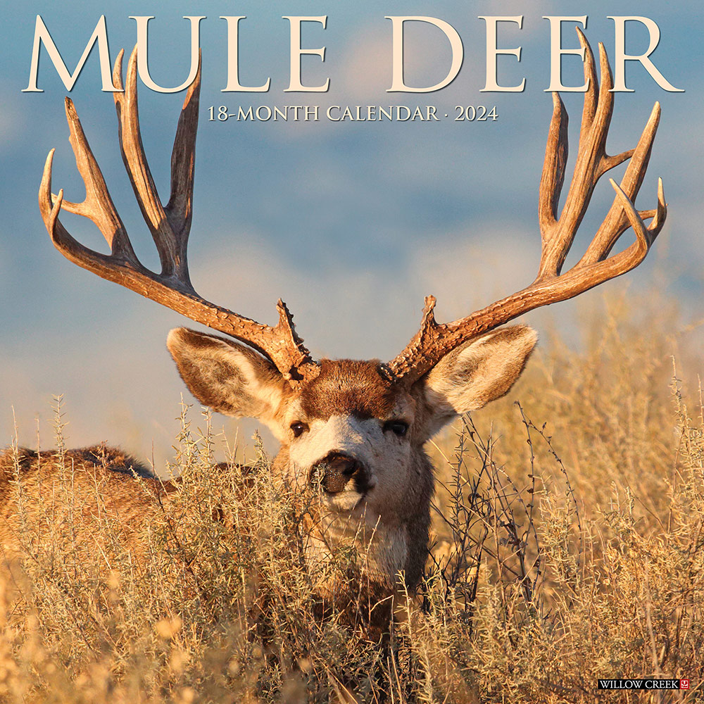 2024 Mule Deer Calendar Willow Creek