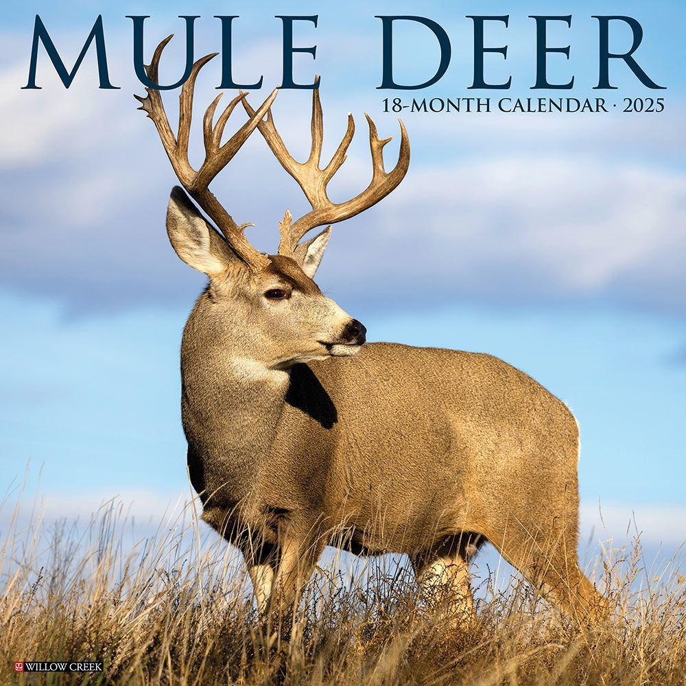 2025 Mule Deer Calendar Willow Creek