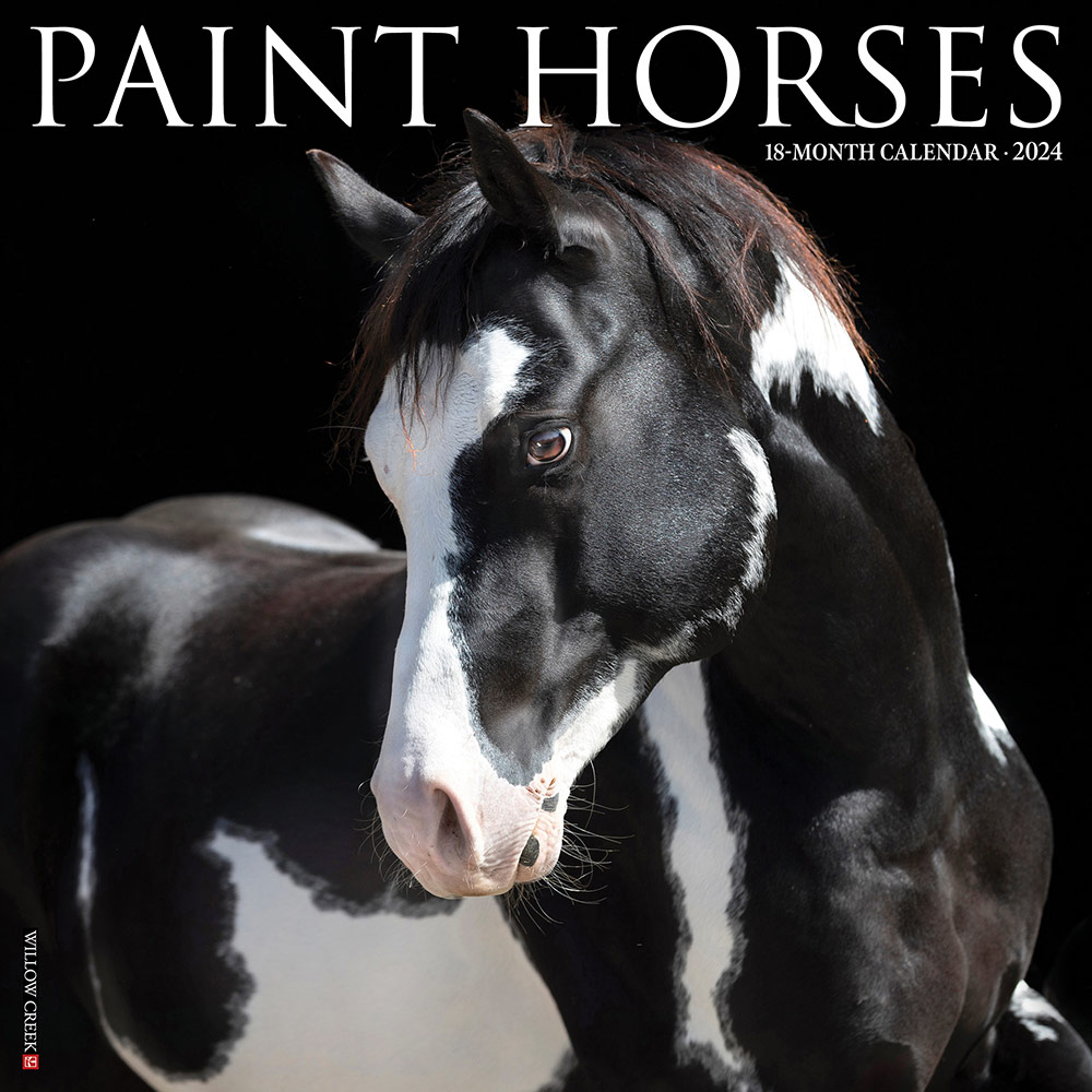 Paint Horse Gifts