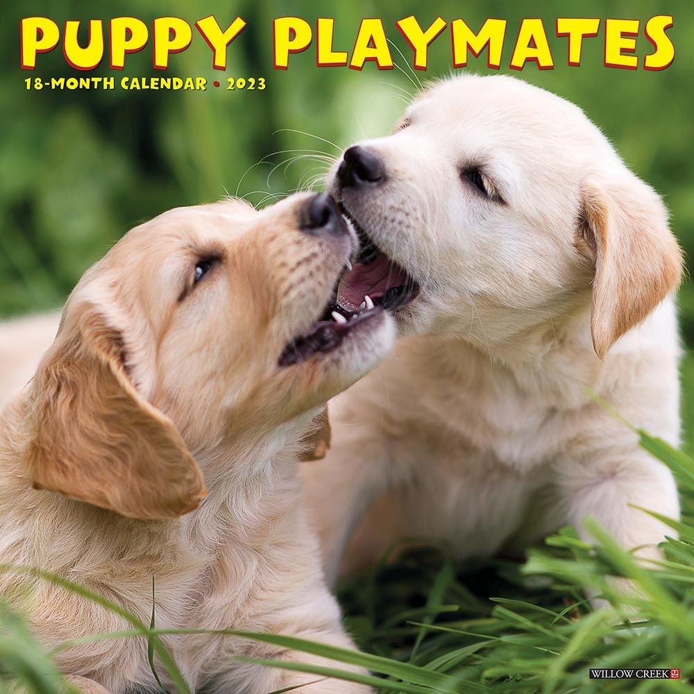 2023 Puppy Playmates Calendar Willow Creek
