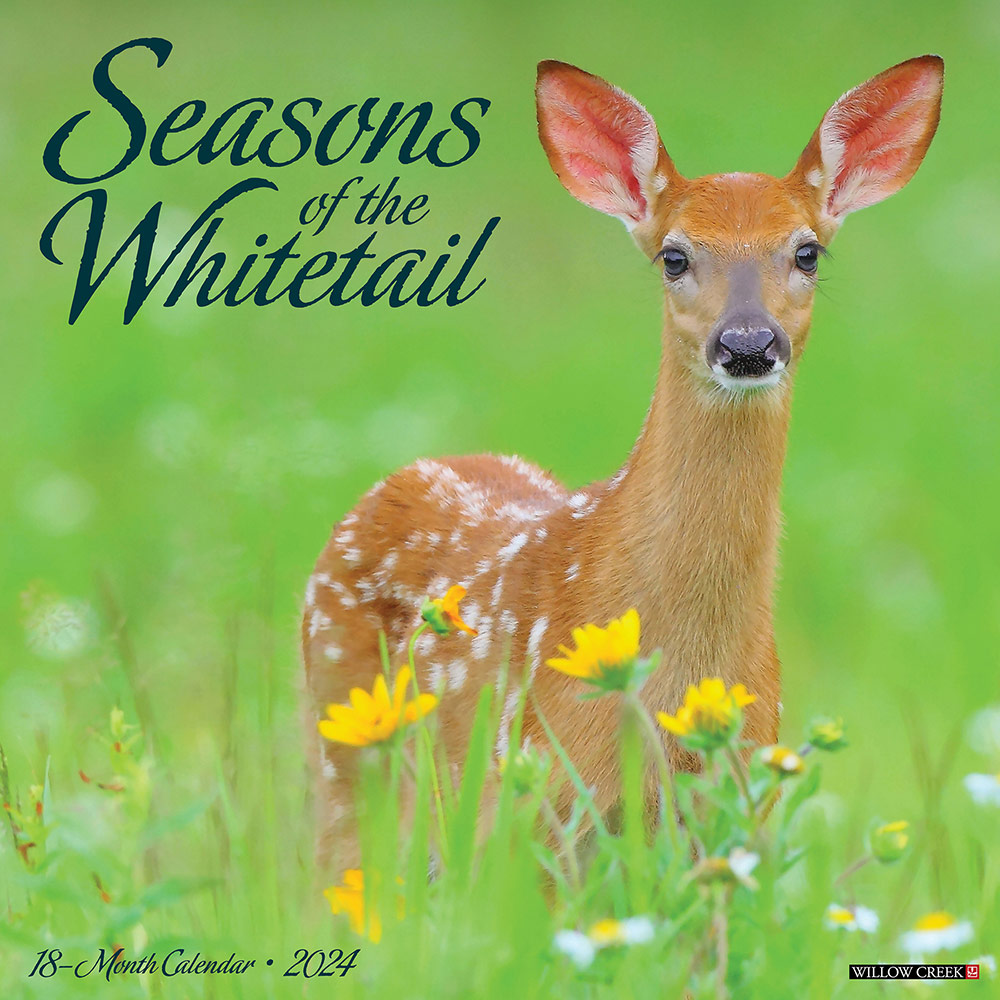 Seasons of the Whitetail Calendar 2024 Willow