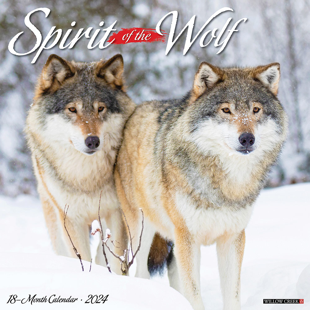 Spirit of the Wolf Calendar 2024 Willow