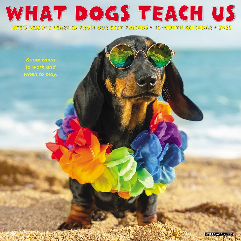 2023 What Dogs Teach Us Calendar Willow Creek
