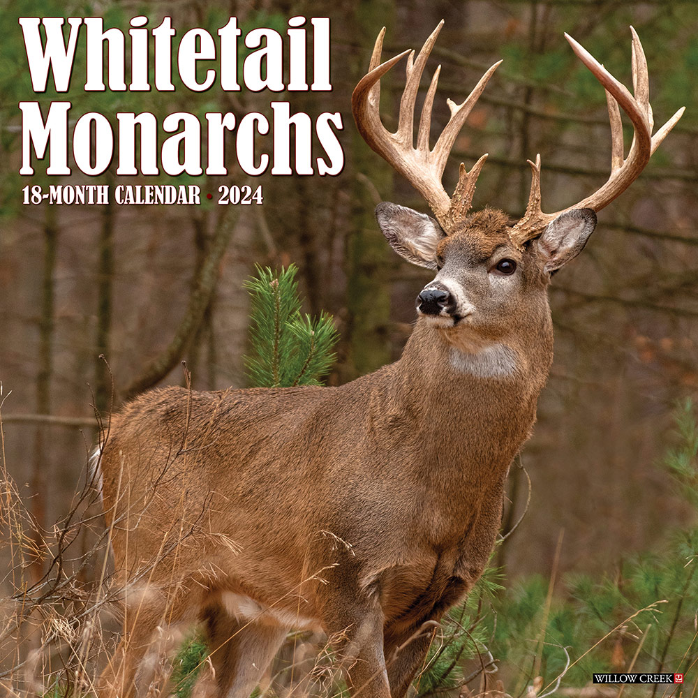 Whitetail Monarchs Calendar 2024 Willow