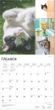 2025 Cat Lovers Calendar