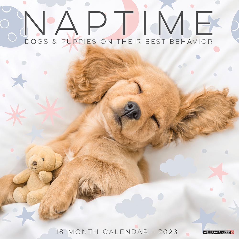 2023 Dog Naps Calendar