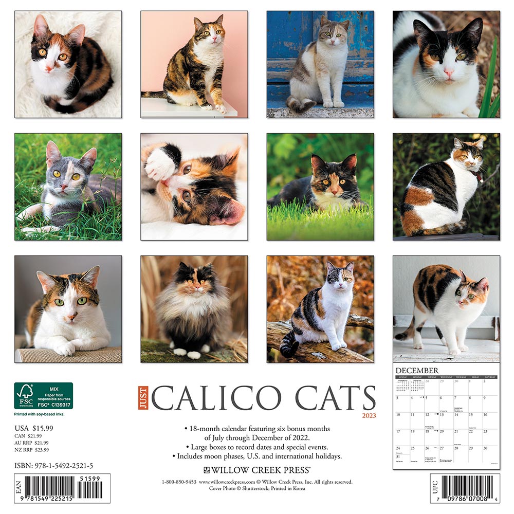 Calico Cats Calendar 2024 Willow Creek|Animalden.com