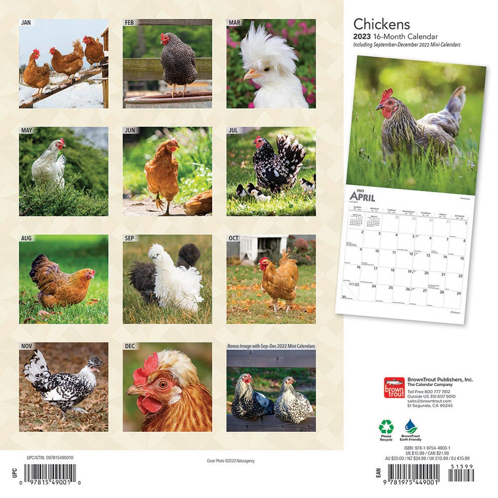 chickens-calendar-2023-animal-den