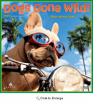 Dog Days Calendar 2023 | Animalden.com
