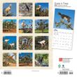 2024 Goats in Trees Calendar