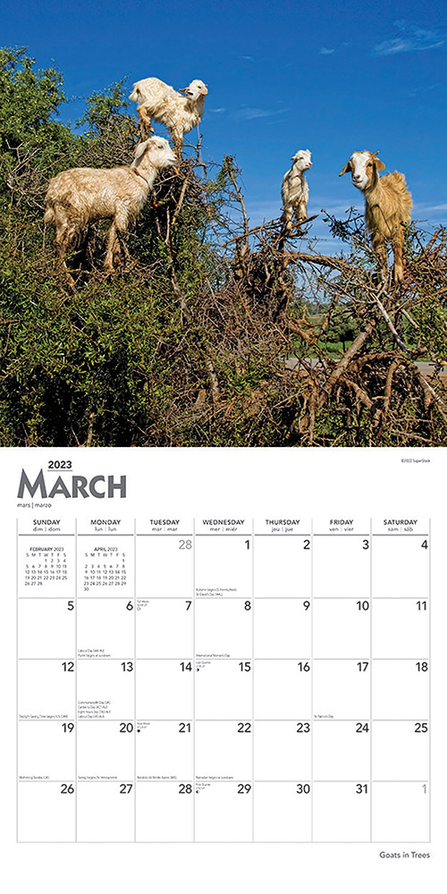 Goats in Trees Calendar 2023 | Animal Den