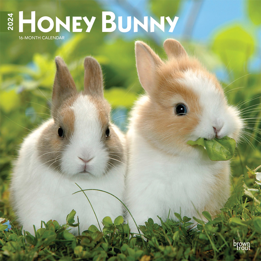 Honey Bunny Calendar 2024 Brown