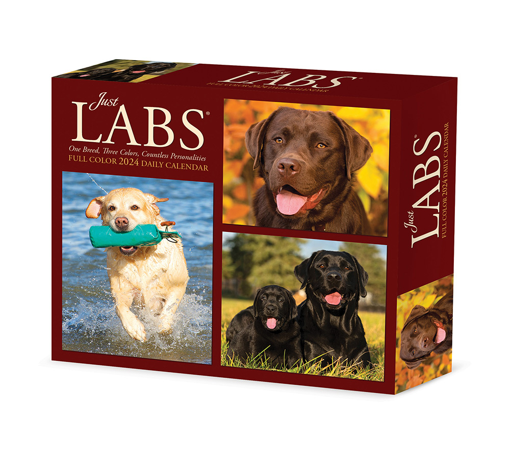 Labs Box Calendar 2024 Willow Creek|Animalden.com