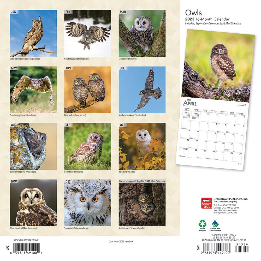 Owls Calendar 2024Animal Den