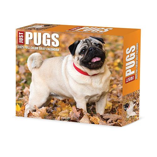 2025 Pugs Box Calendar Willow Creek