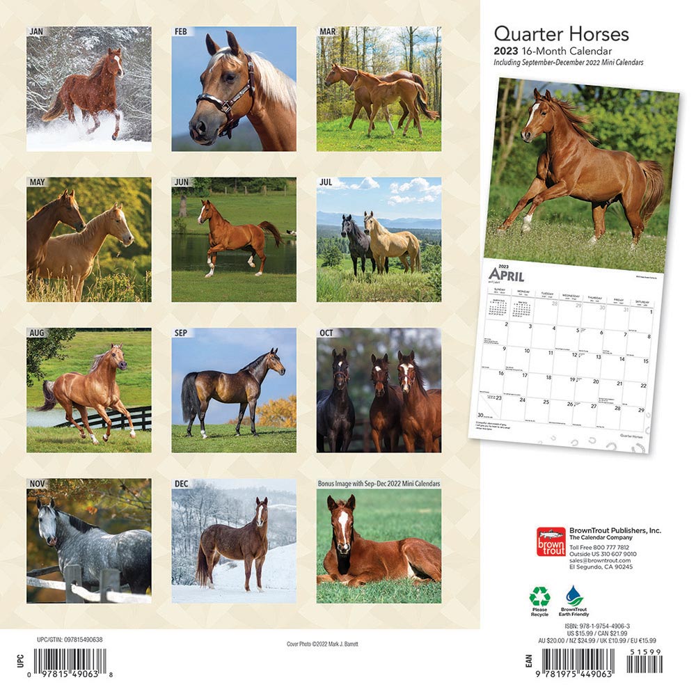Quarter Horses Calendar 2023 Animal Den