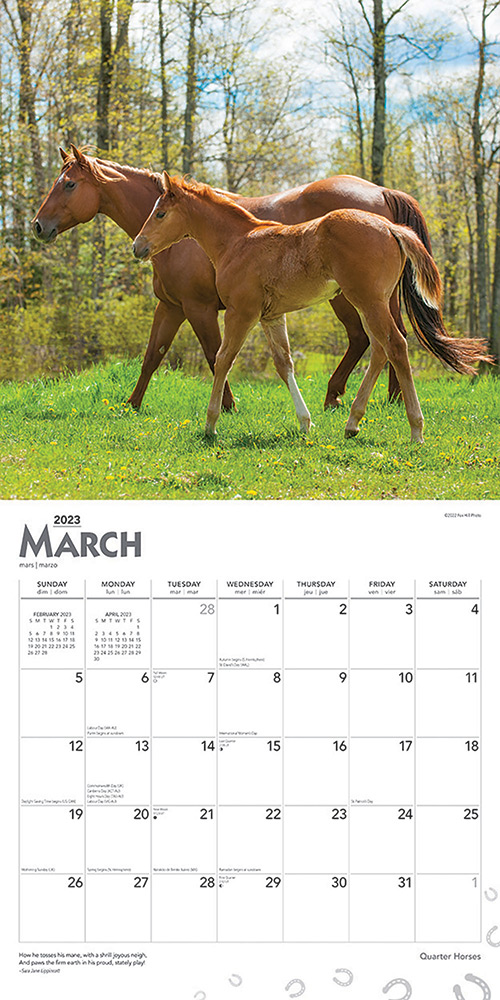 Quarter Horses Calendar 2023 Animal Den