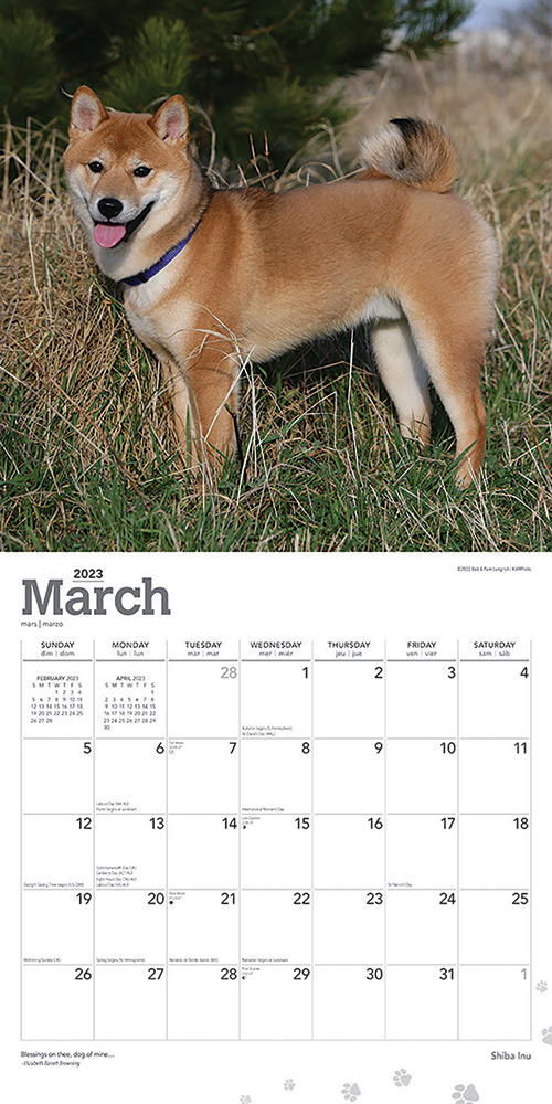 Shiba Inu Calendar 2023 | Animal Den shiba-inu-calendar-2023-animal-den