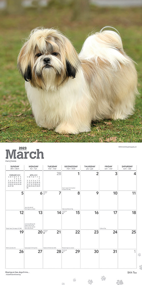 Shih Tzu Calendar 2023 | Animal Den shih-tzu-calendar-2023-animal-den