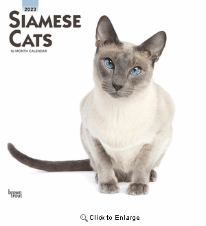 2023 Siamese Cats Calendar