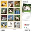 2023 Siamese Cats Calendar
