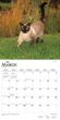 2023 Siamese Cats Calendar