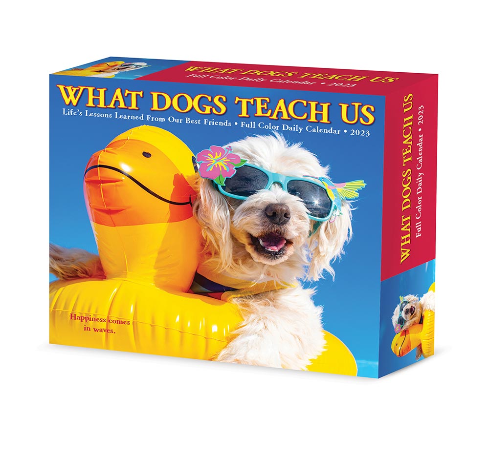 2023 What Dogs Teach Us Box Calendar Willow Creek
