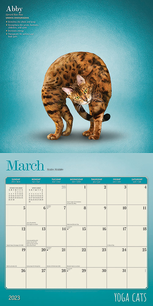 Yoga Cats Calendar 2023 | Animal Den